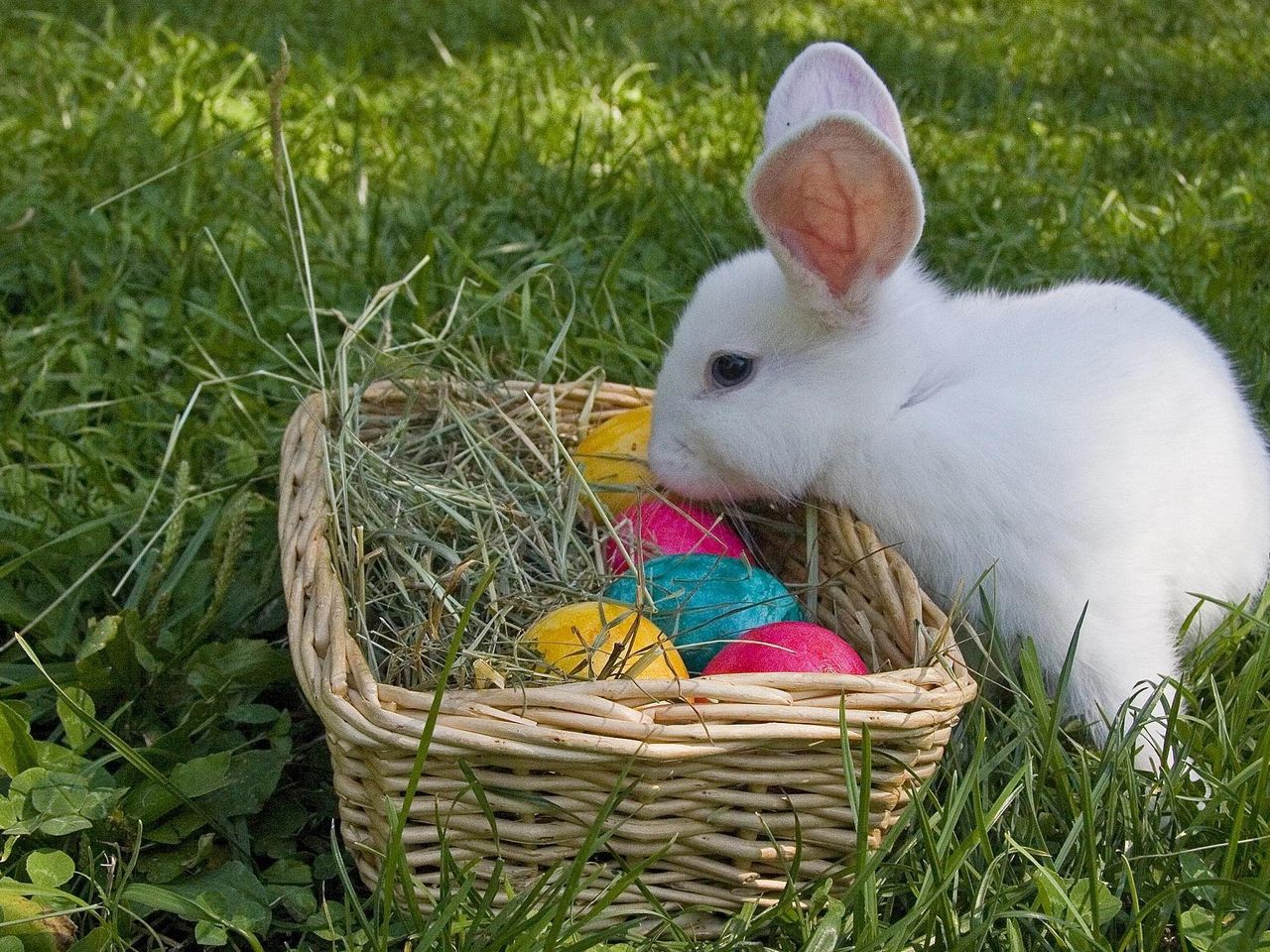 Ostern in Bad Schandau