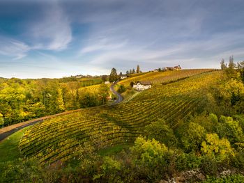 Auszeit im Südburgenland mit Thermeneintritt