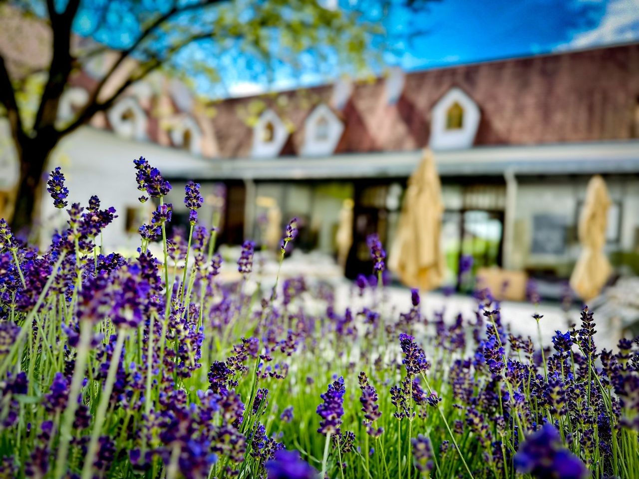 Romantische Auszeit im Südburgenland