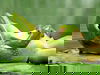 Testarrangement 2