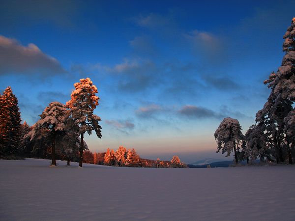 3 Tage Last Minute Winterkurztrip in Seiffen, Sachsen inkl. Halbpension Plus