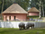 Zoo Schwerin mit Tageseintritt und Übernachtung