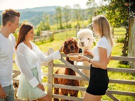 Auszeit im oststeirischen Bergland - 4 Tage
