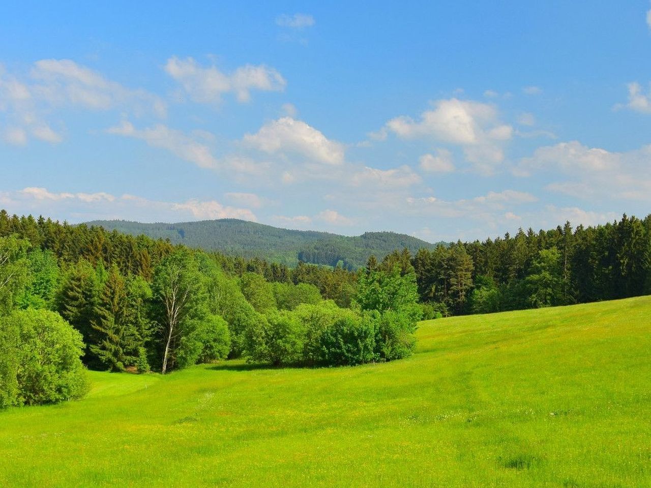 5 Tage Dorfleben zum Kennenlernen in der Oberpfalz