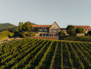 Pfälzer Weinbergsromantik-Zeit zum verlieben HP|5Tg.