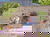 5 Tage Wellnessurlaub mit THERMEplus-Paket