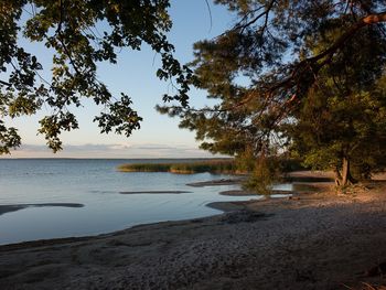 Herbst & Winter an der Müritz
