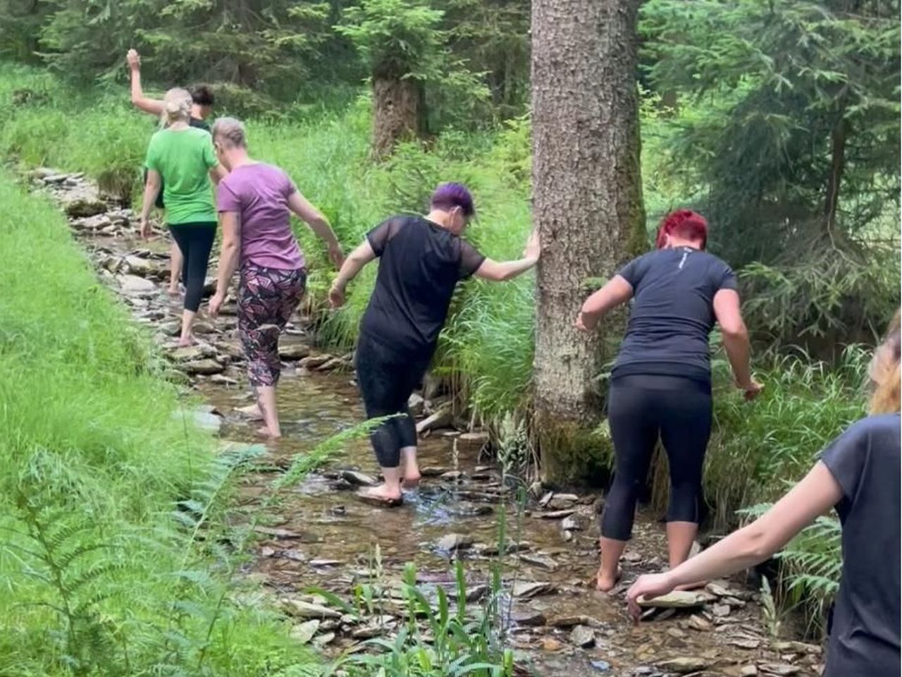 4 Tage Thüringer Wald mit Kneipp-Kräuter-Wanderung