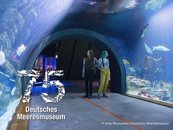 OZEANEUM Stralsund mit Ticket und Hotel