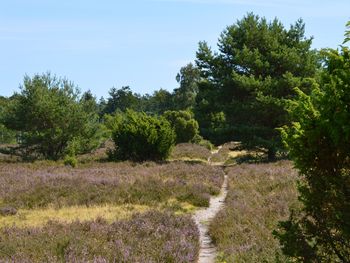 8 Tage Auszeit in der Lüneburger Heide