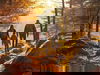 Herbstliche Schmankerl - 3 Nächte