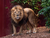 Zoo Schwerin mit Tageseintritt und Übernachtung