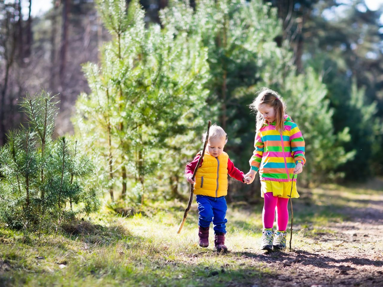 4 Tage Familiensommer Special im re.vita / Harz