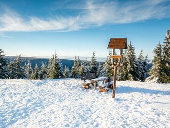 Ihre Auszeit im Thüringer Wald - 8 Tage Vollpension