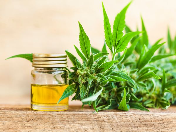 3 Tage Hanf-Relax für 3 Nächte in Karlsbad (Karlovy Vary), Karlsbad (Karlovarský kraj) inkl. Halbpension