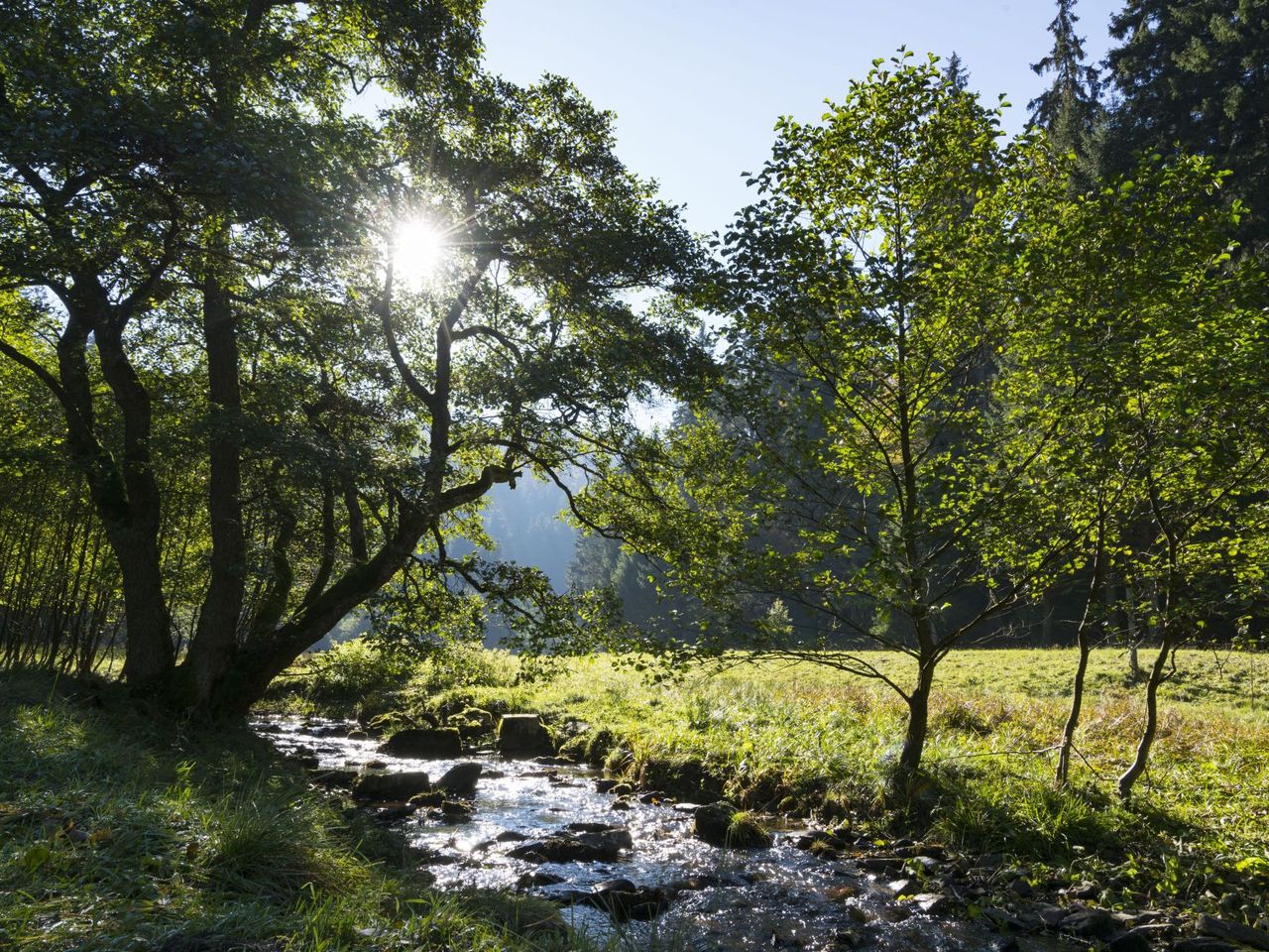 2 Nächte Sommerloft in Willingen