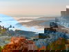 Eine Städtereise mit Welcomecard durch Bonn - 2 Tage