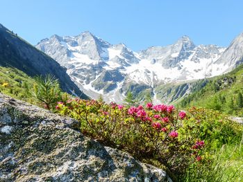 4+1: Sommerspecial in Osttirol auf über 1.400 Metern