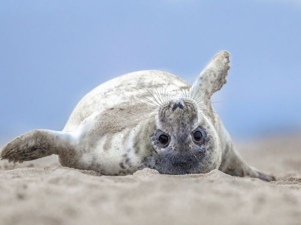 5 Tage Urlaub an der Nordsee in Butjadingen Frühstück