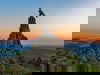 Naturerlebnis PUR | 3 Tage