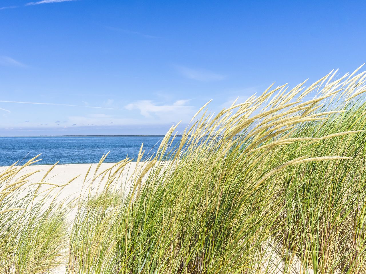 4 Tage auf der Nordeseeinsel Sylt mit Frühstück
