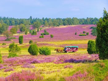 Romantik im Herzen der Lüneburger Heide