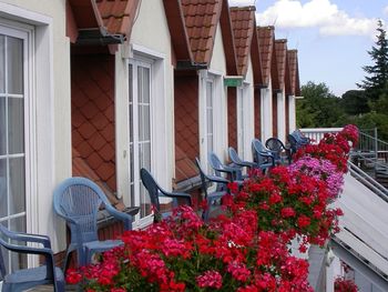 4 Tage auf Rügen inkl. 1 x Abendessen