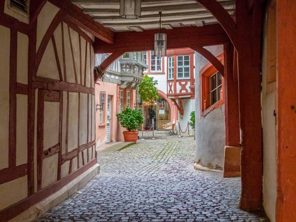 Genuss & Wein-Erlebnis an der Weinstraße - 2 Tage in Neustadt an der Weinstraße, Rheinland-Pfalz inkl. Frühstück