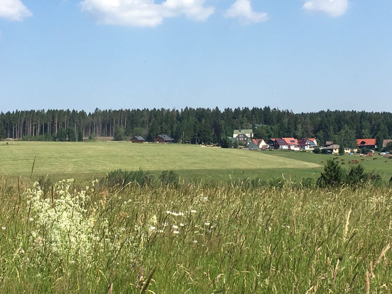 Wochenpauschale HARZ