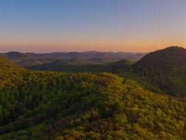 Wanderurlaub Pfälzerwald inkl. Halbpension | 5 Tage