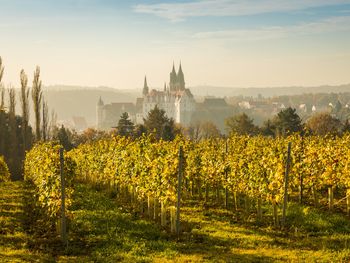 Suite-Weekend an der Elbe mit 4-Gang-Abendessen