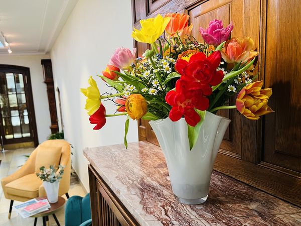 2 Tage Freiburg: Geschichte erleben – mitten in der Stadt in Freiburg im Breisgau, Baden-Württemberg inkl. Frühstück