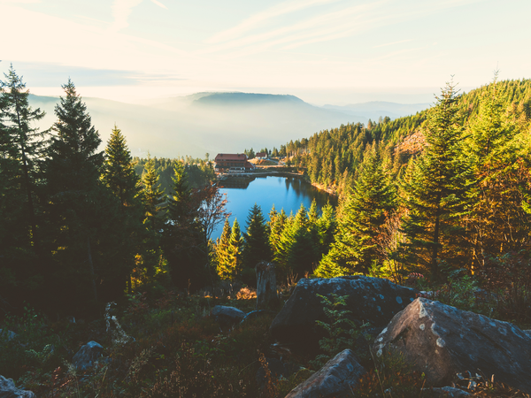 Silvesterarrangement im Schwarzwald in Lauterbach (Schwarzwald), Baden-Württemberg Halbpension