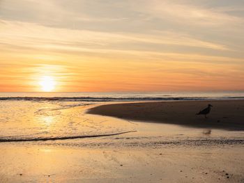 Meeresauszeit im Strandhotel auf Sylt - 2 Nächte