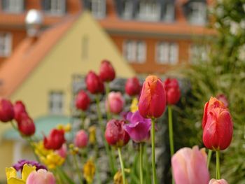 Wintergenuss im Ettershaus