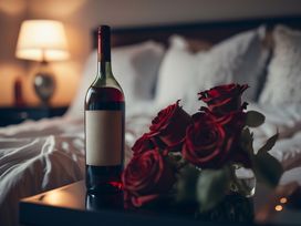 Mecklenb. Seenplatte: Silvesterzauber in Altentreptow