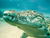 Tierpark und Tropen Aquarium Hagenbeck in Hamburg mit Hotel