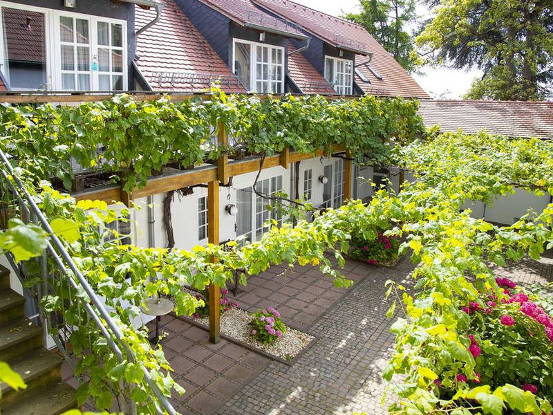 Romantik im Weingut - unser 