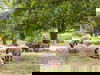 6 Tage Erholung & Naturgenuss im grünen Drenthe