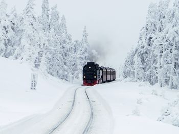 Harzer TOP DEAL: 5 Tage Superpreis