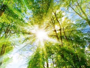 Wellness-Wochenende im Schwarzwald