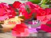 4 Tage Thüringer Wellness Auszeit inkl. HP plus
