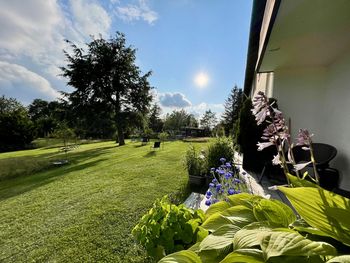 Mit Volldampf auf den Gipfel / 5 Tage im Harz