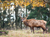Tierpark Sababurg mit Hotel