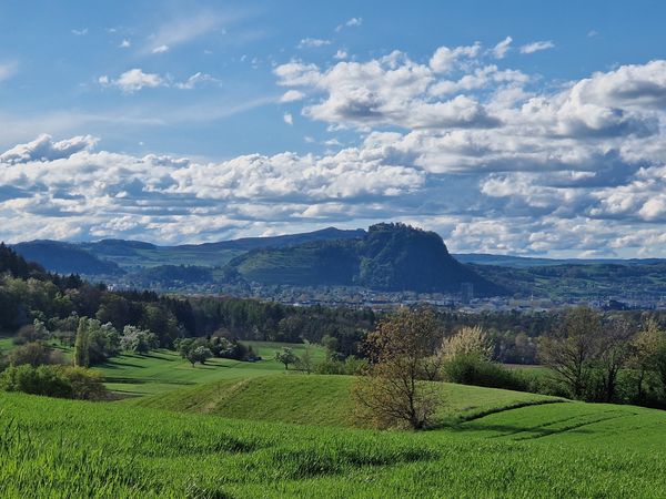5 Tage Wandern: Vulkane, Ruinen, Weinberge, Flüsse in Singen (Hohentwiel), Baden-Württemberg
