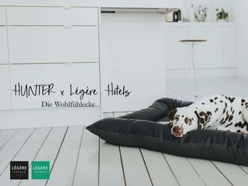 Tierisch Bielefeld - Urlaub mit dem Hund | 3 Tage