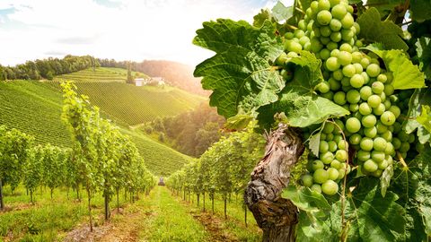Burgenland