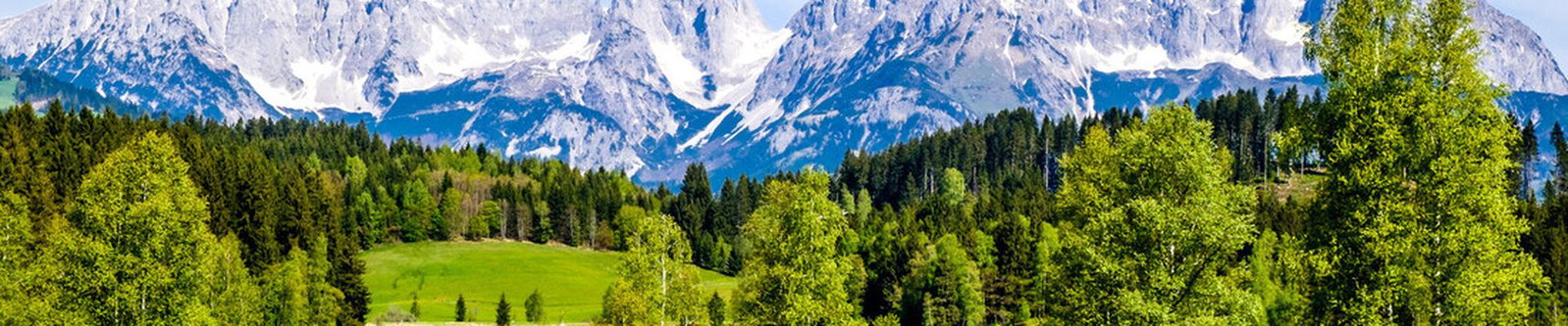 Schneebedeckte Felsgipfel über dichtem Nadelwald und einer grünen Bergwiese in Tirol