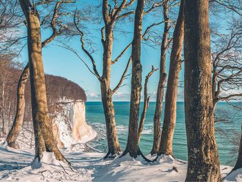 Herbst-/ Wintertraum auf Rügen mit Abendbuffet All In