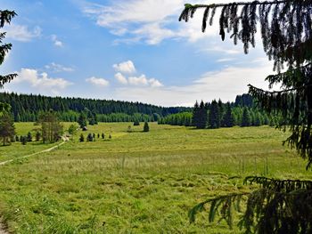 Hot Stone Relax Days - Heiße Wellness im AI - Hotel